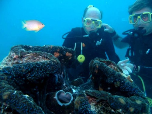Diving into your Bucket List