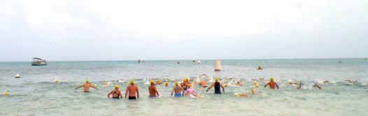 Green Island Ocean Swim Green Island Ocean Swim