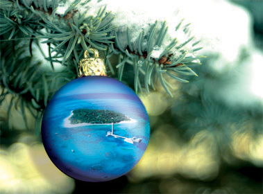 Xmas Tree Xmas Island